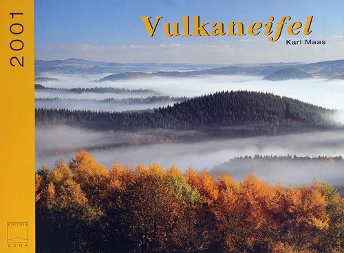 V06 V06